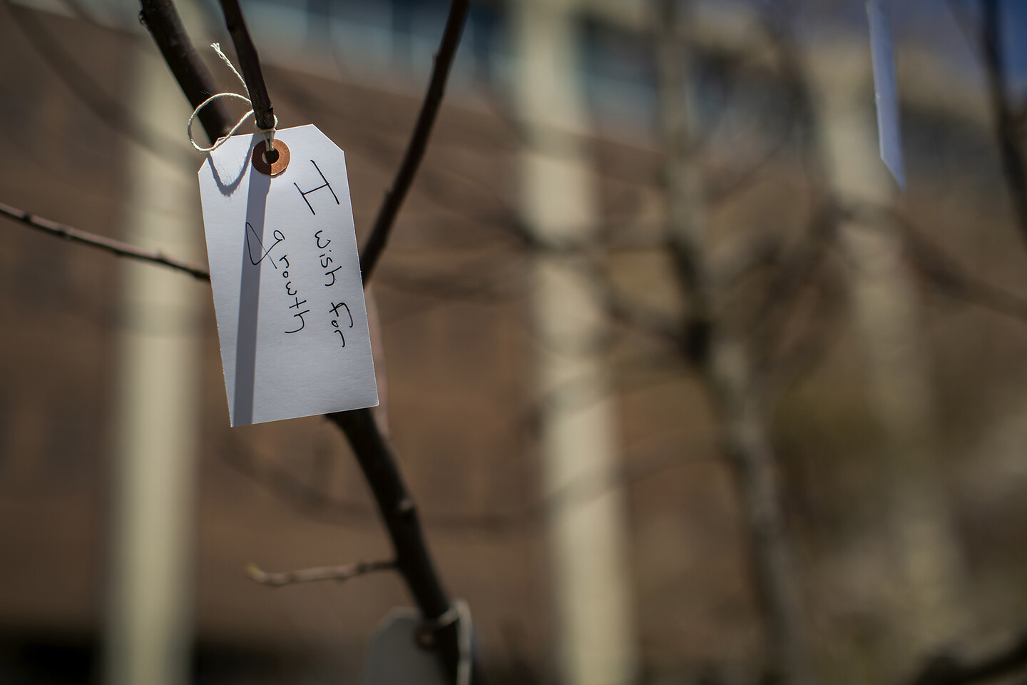 Wish_Tree_Tag