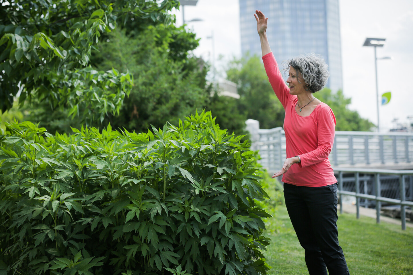 Deirdre Murphy Schuylkill