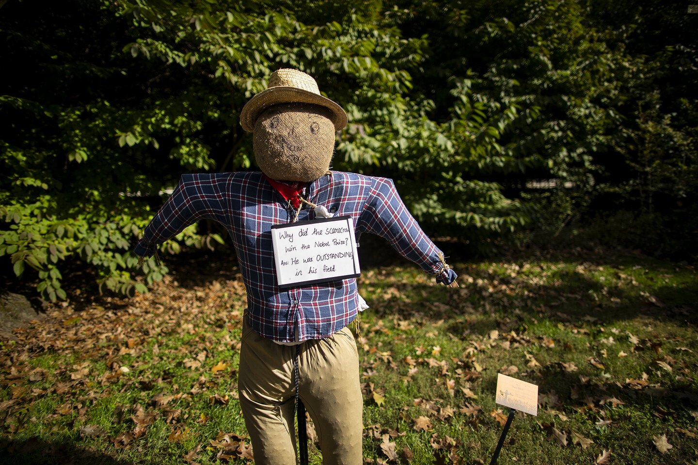 GSE-Teacher-Scarecrow