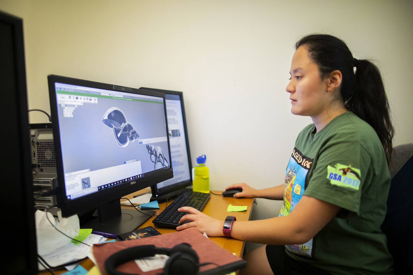 Scientist looks at a rendering of a shell on a computer screen