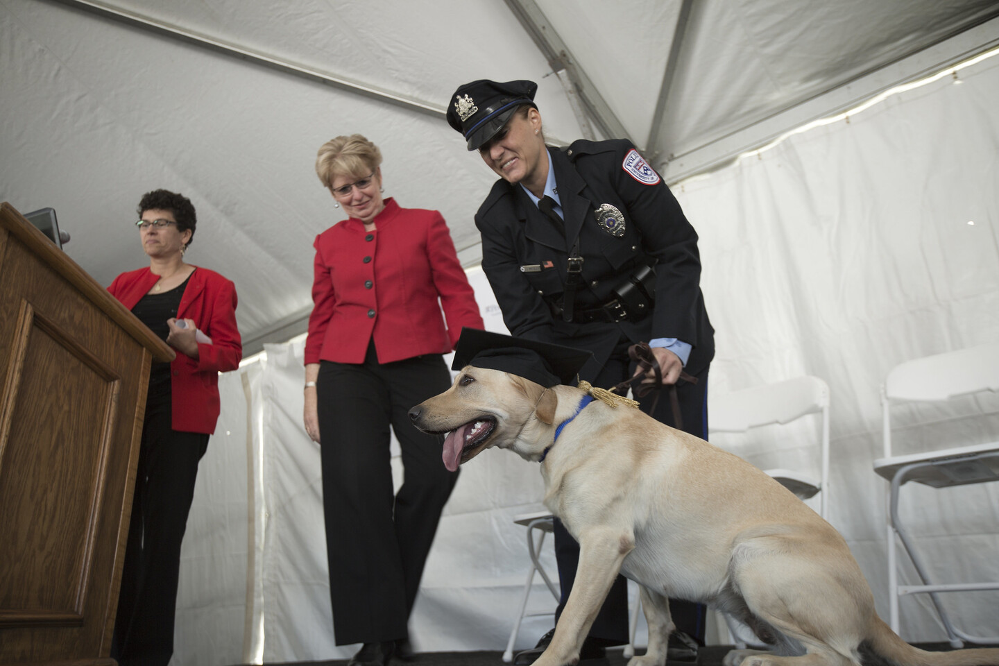 Dog with graduation cap with police officer petting it and another person looking at them and another at a podium. 