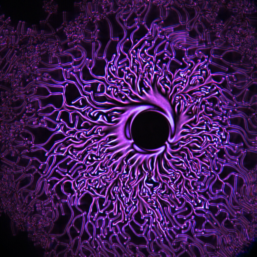 purple molecule from wei-shao wei lab