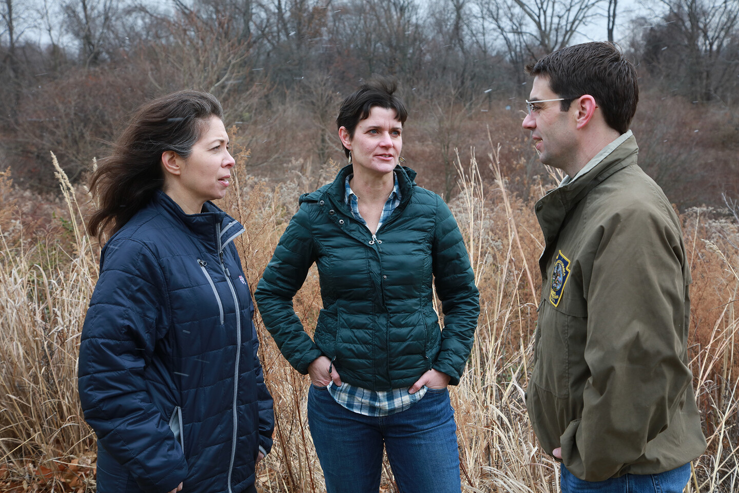 Ellis, Murphy, and Schnupp