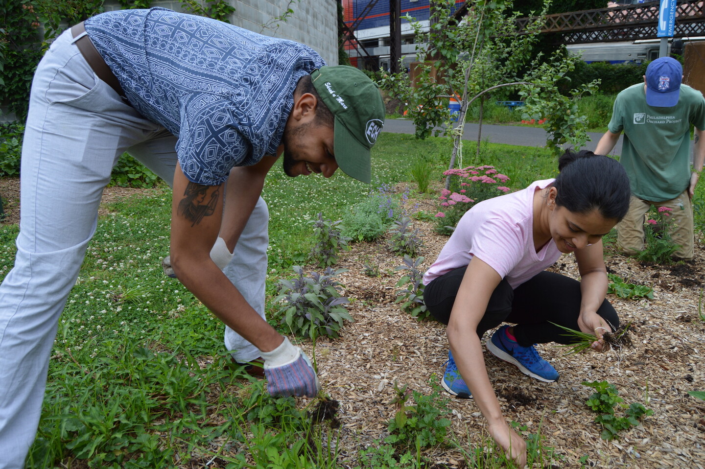 three people work in a garden