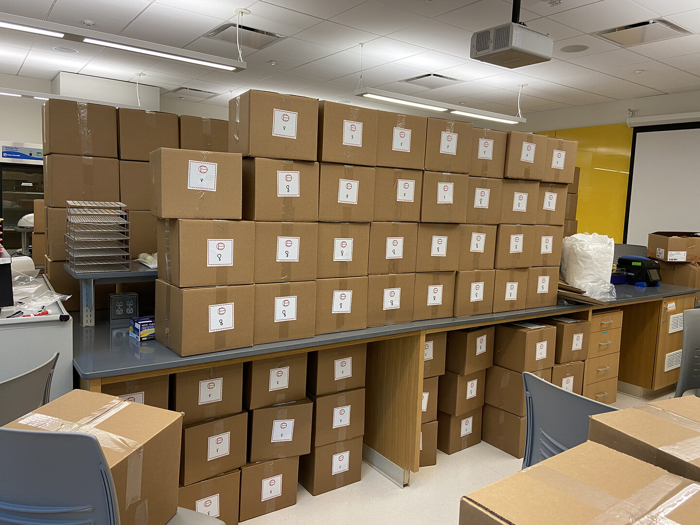 lab kits
