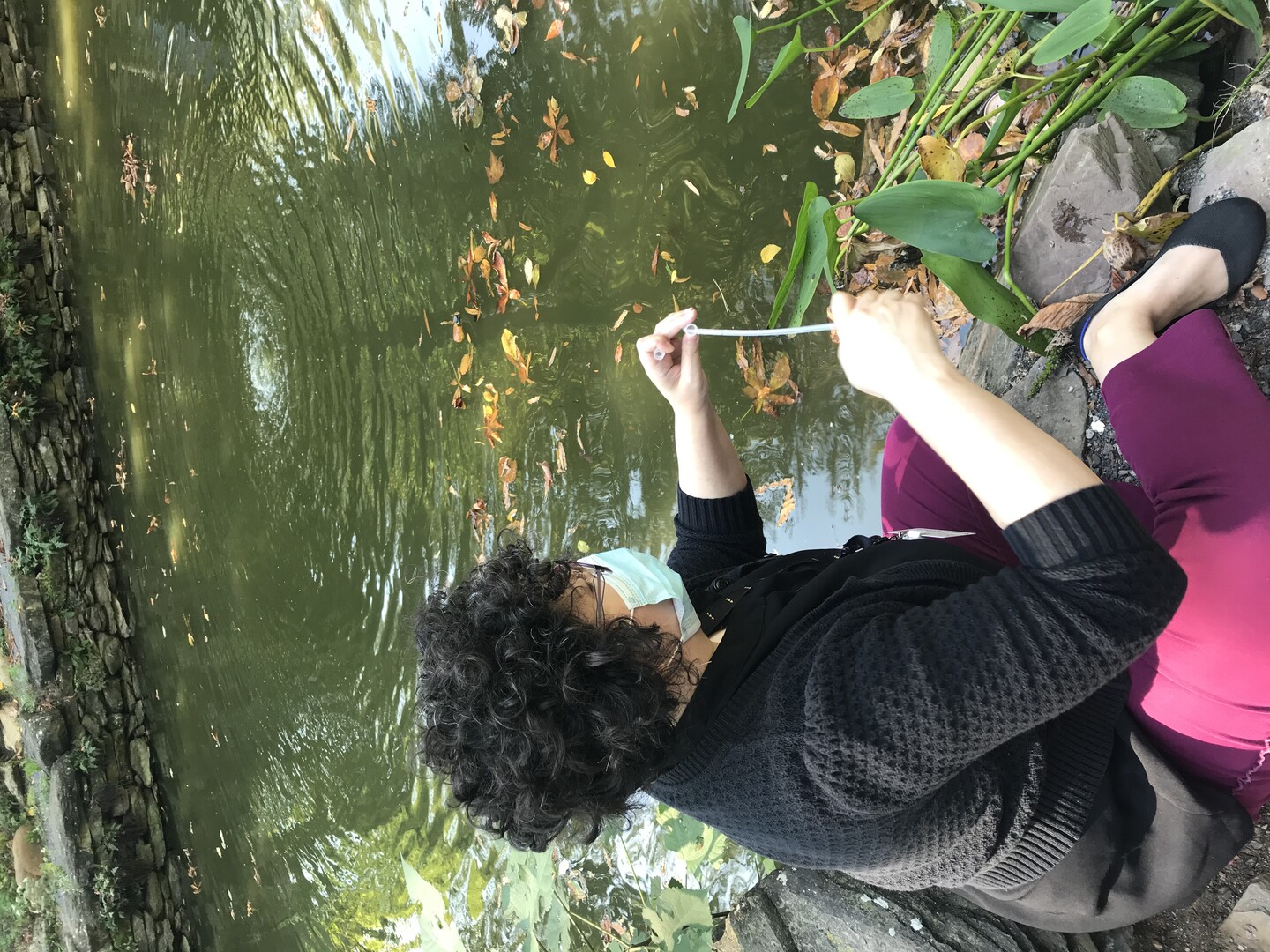 Person wearing mask samples water from a pond