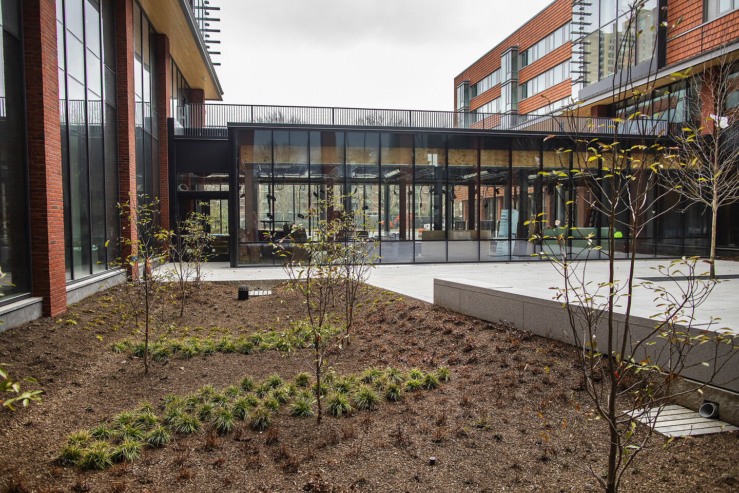 courtyard with trees
