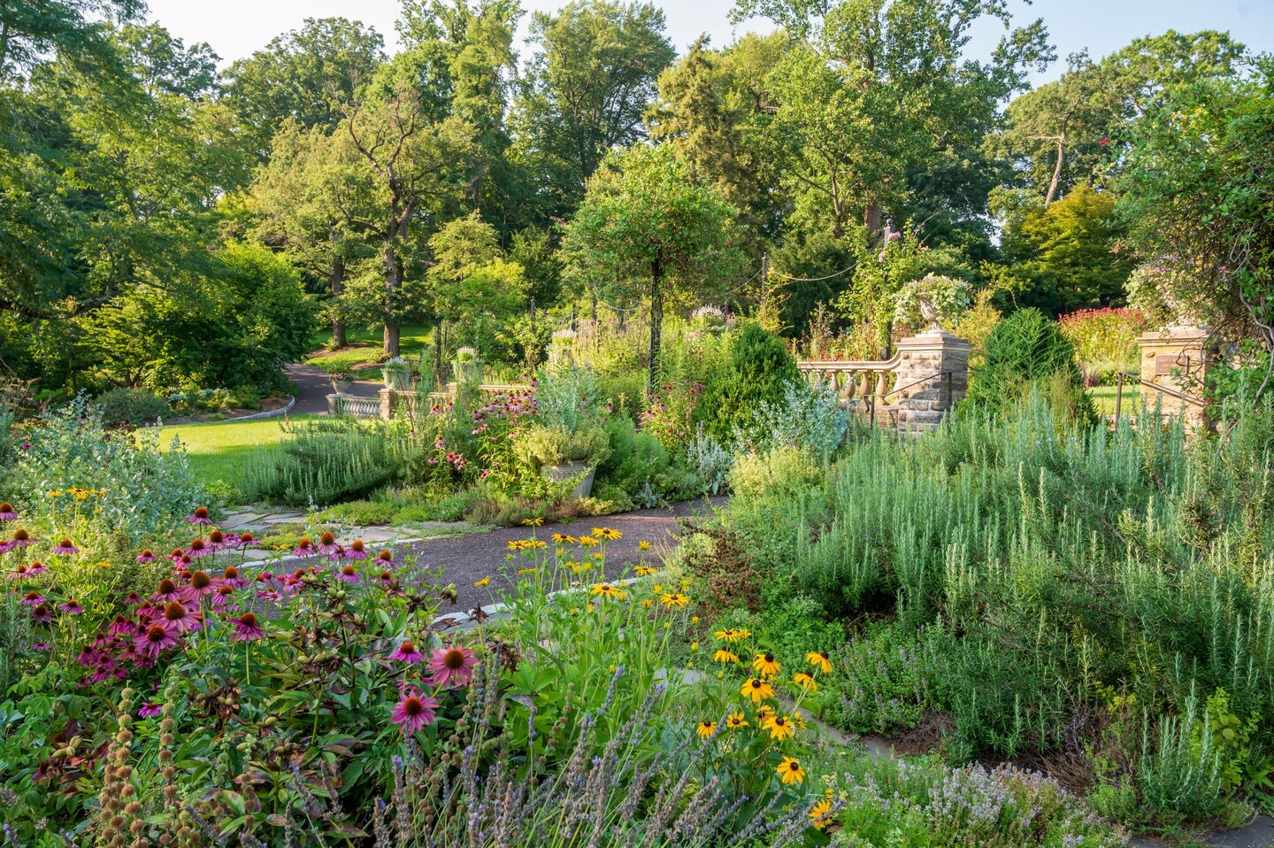 Herb garden
