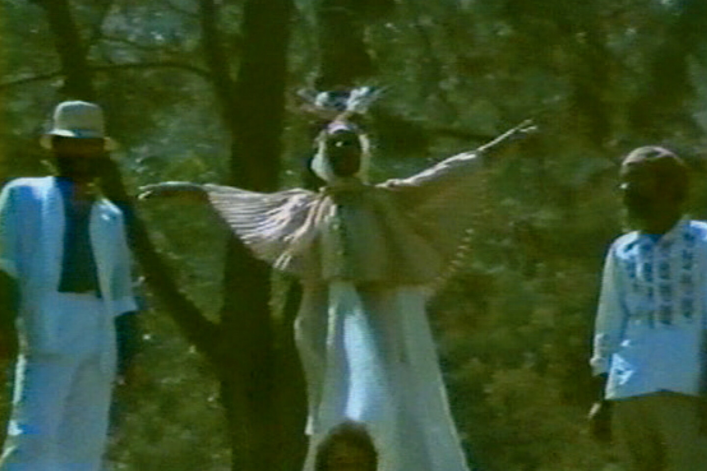 Three men wearing white near a tree