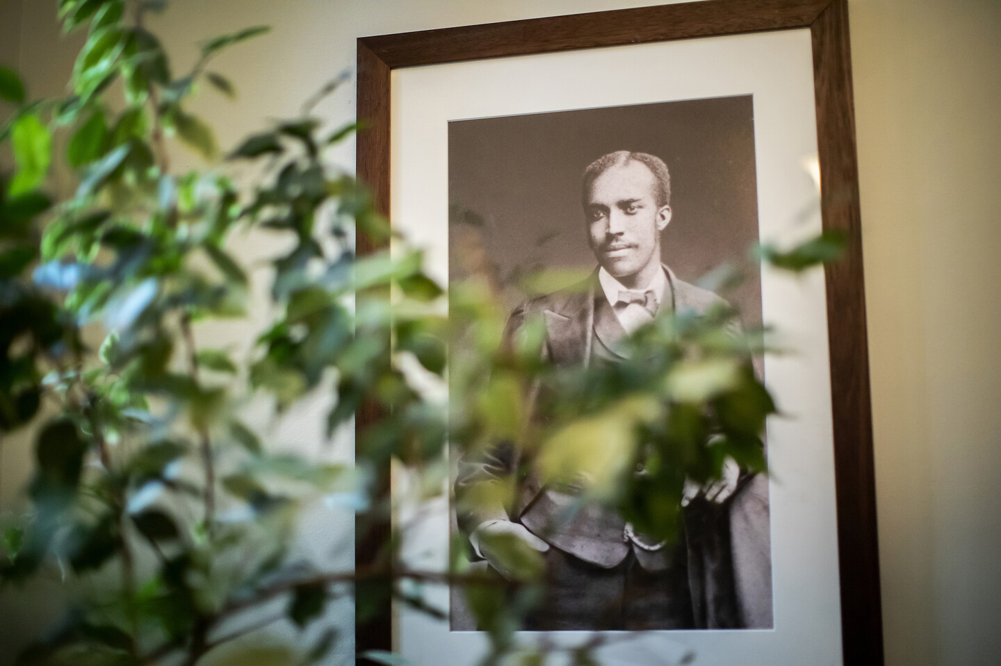 portrait in leidy labs