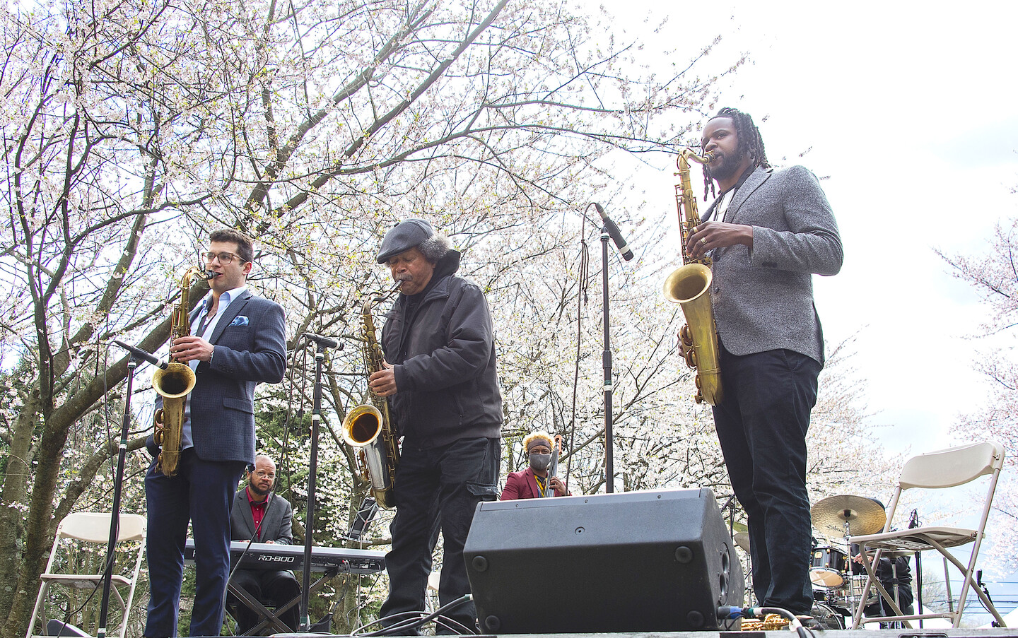 Jazz performers on stage