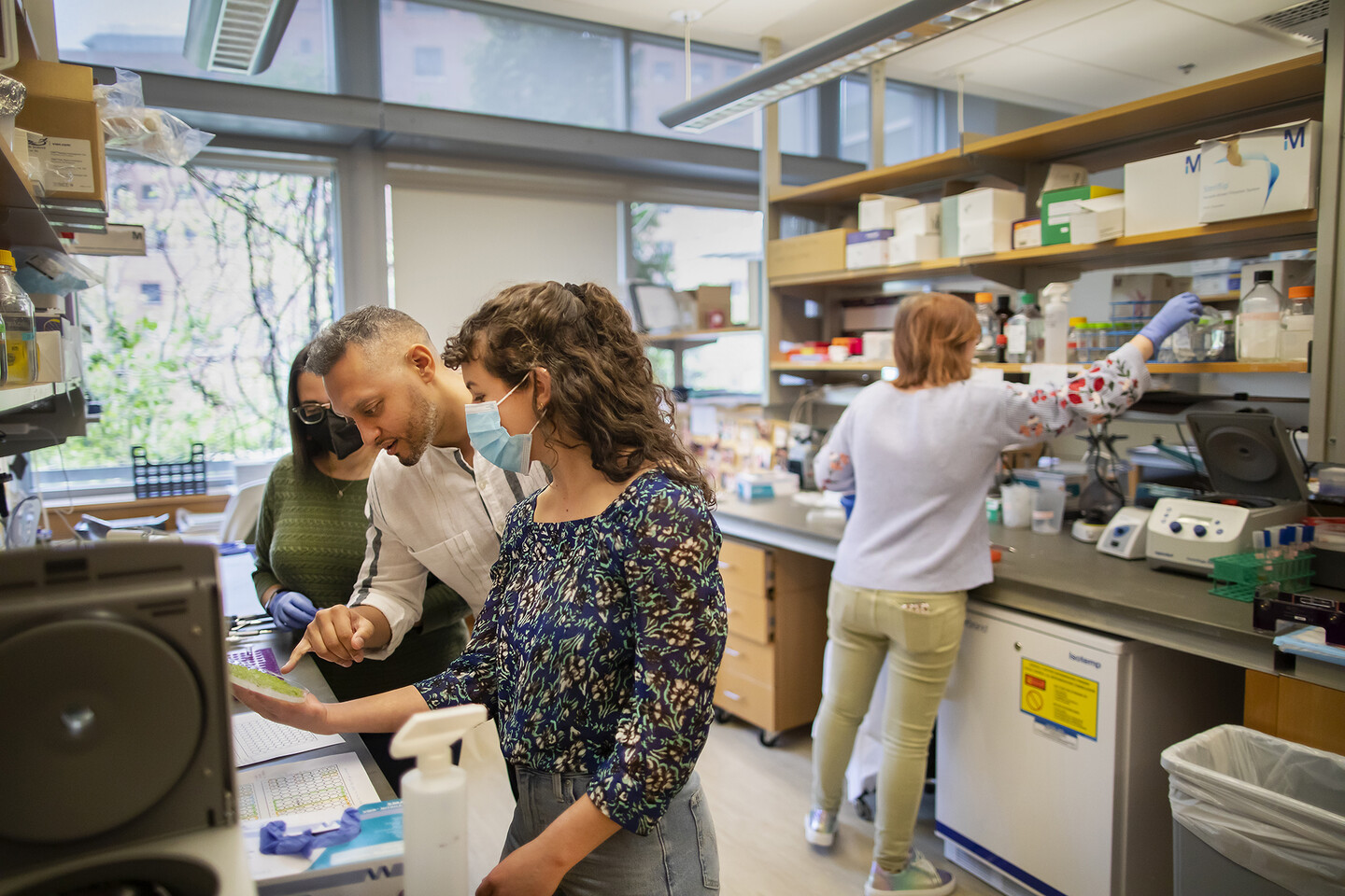 Three scientists in a lab look over some experiments, while a fourth works in the background.