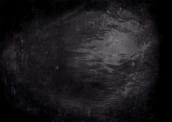 animated gif of fossils