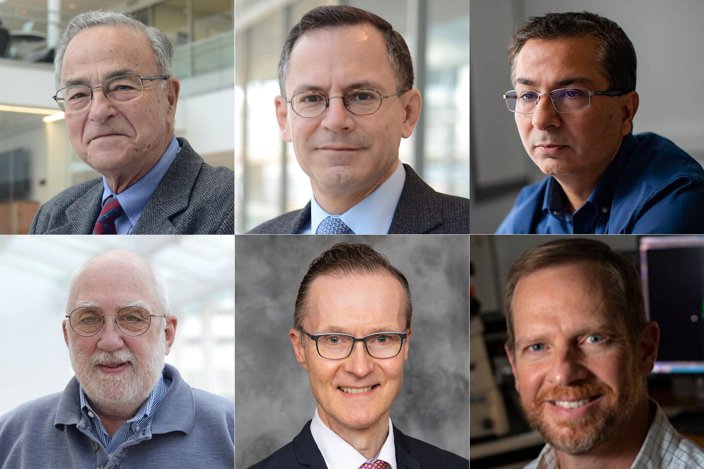 Gustavo Aguirre, William Beltran, Kapil Bharti, David Gamm, Oliver Garden, John Wolfe