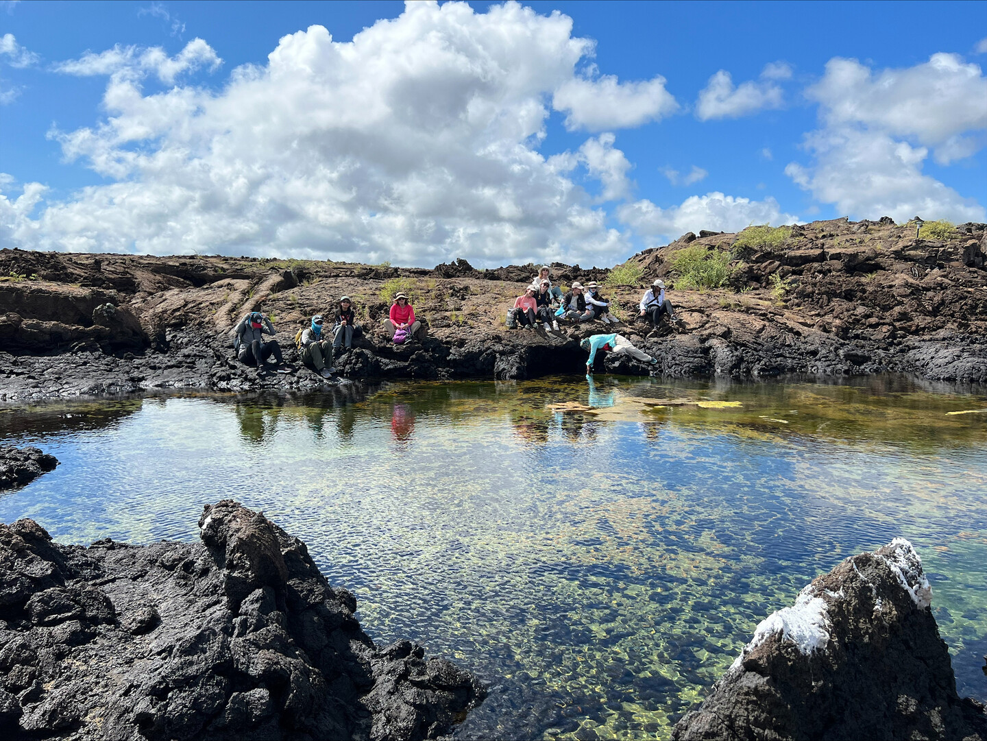 students studying the galapagos, sitting on waterfront