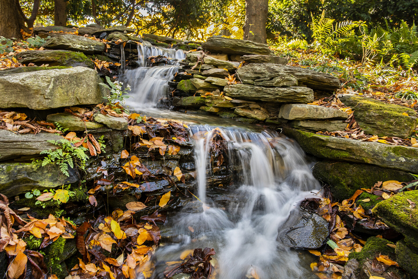 waterfall in kasky biopond