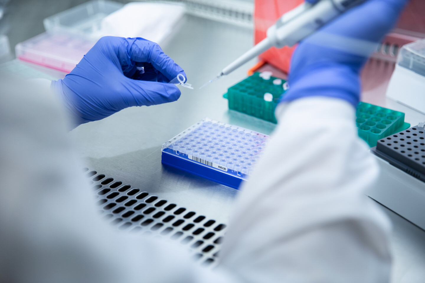 gloved hand using pipette in lab