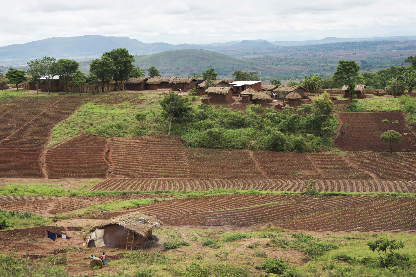malawi landscape