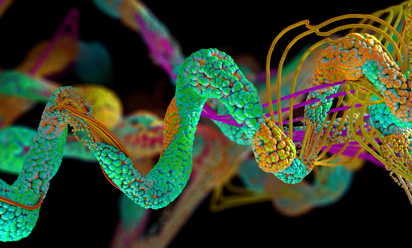 Microscopic view of a chain of proteins.