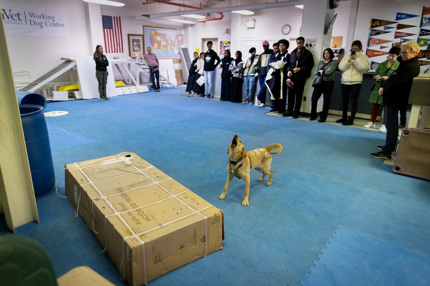 Training exercise at Working Dog Center.