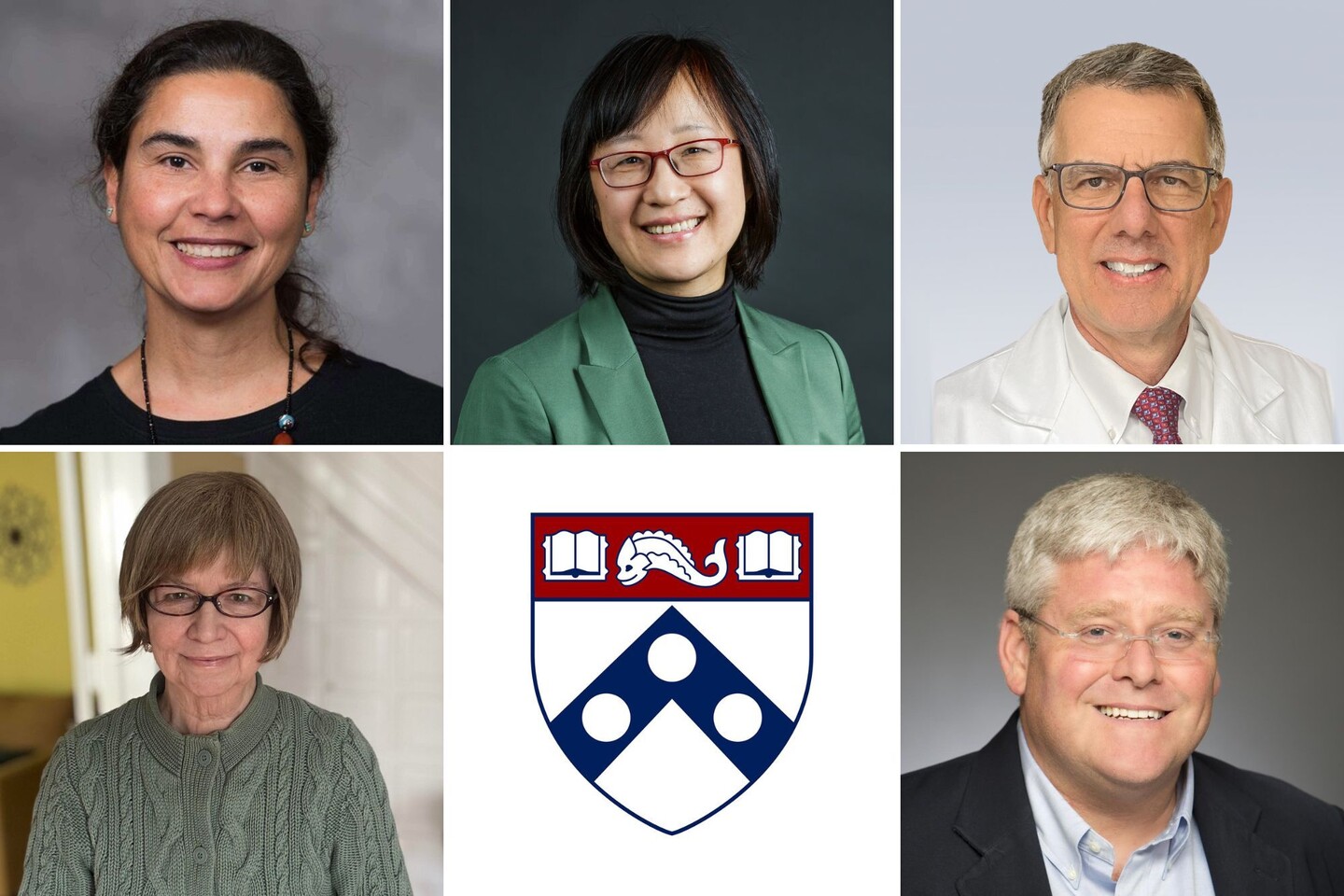 Headshots of five Penn professors elected 2024 AAAS Fellows.