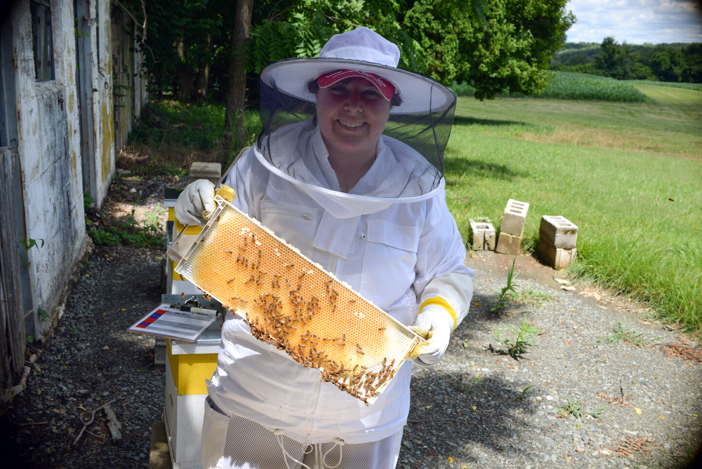 Kaitlyn Krebs holding a panel of honeybees in a beekeeper suit.