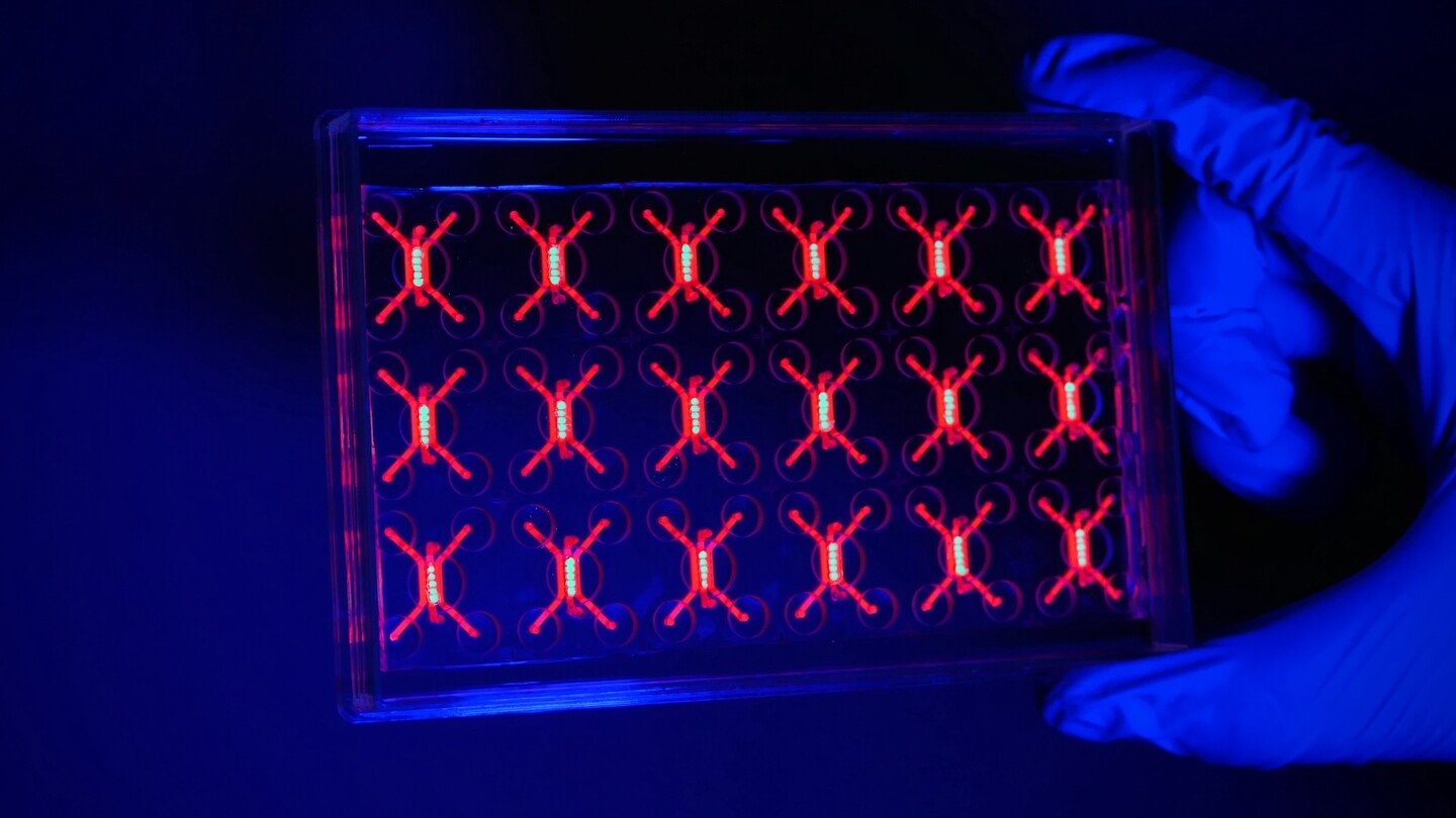 Hand holding a microdevice