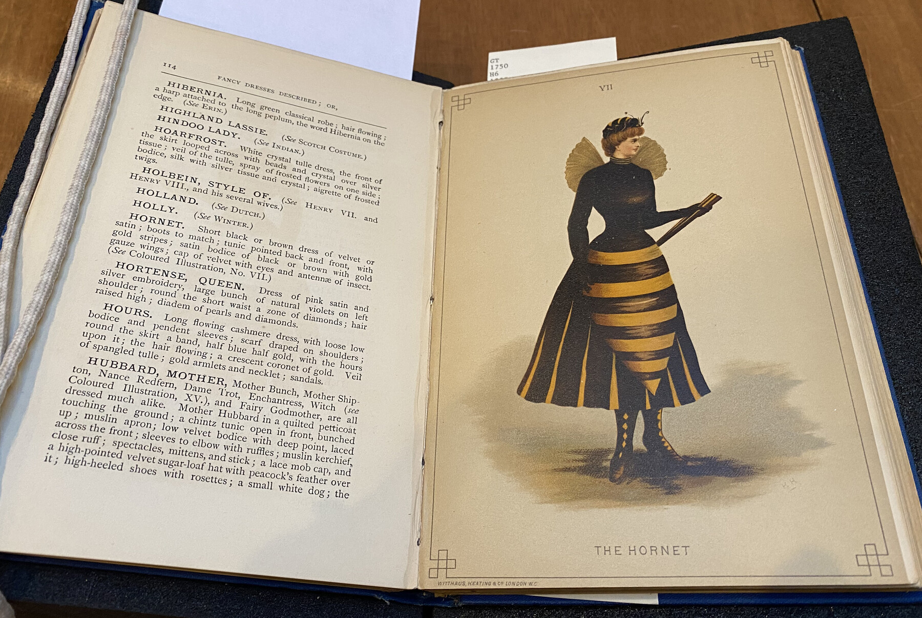 Hand-drawing of a person wearing a hornet costume.