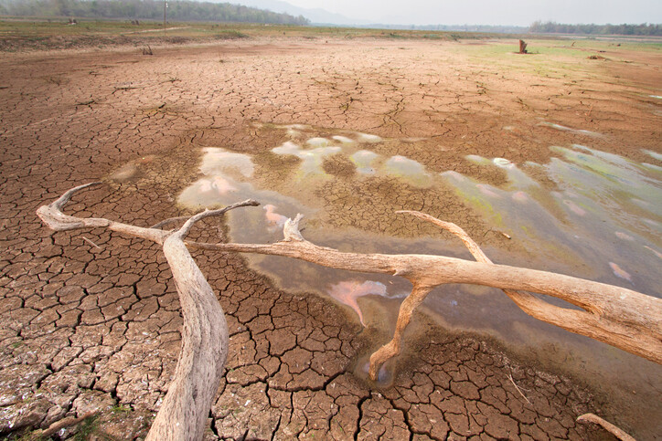 mudcracks on a dry river bed and a fallen branch