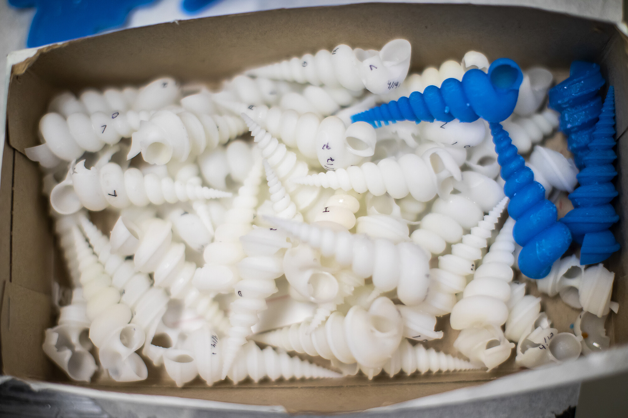 A box full of of blue and white snail shells made of resin