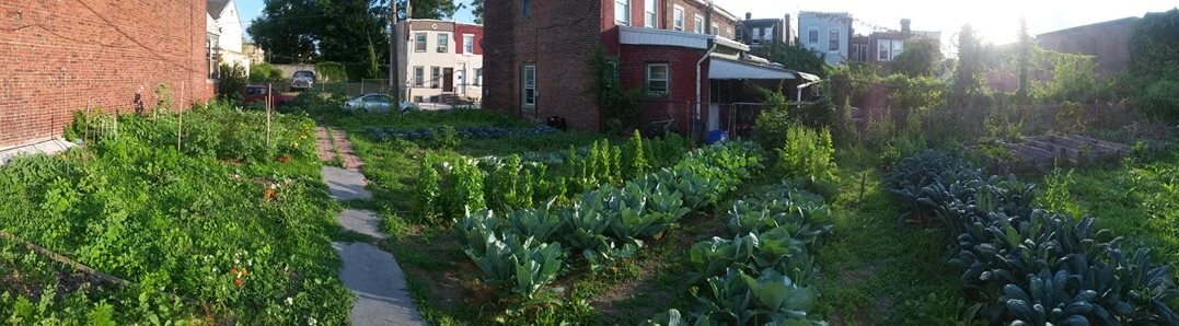 a small urban farm