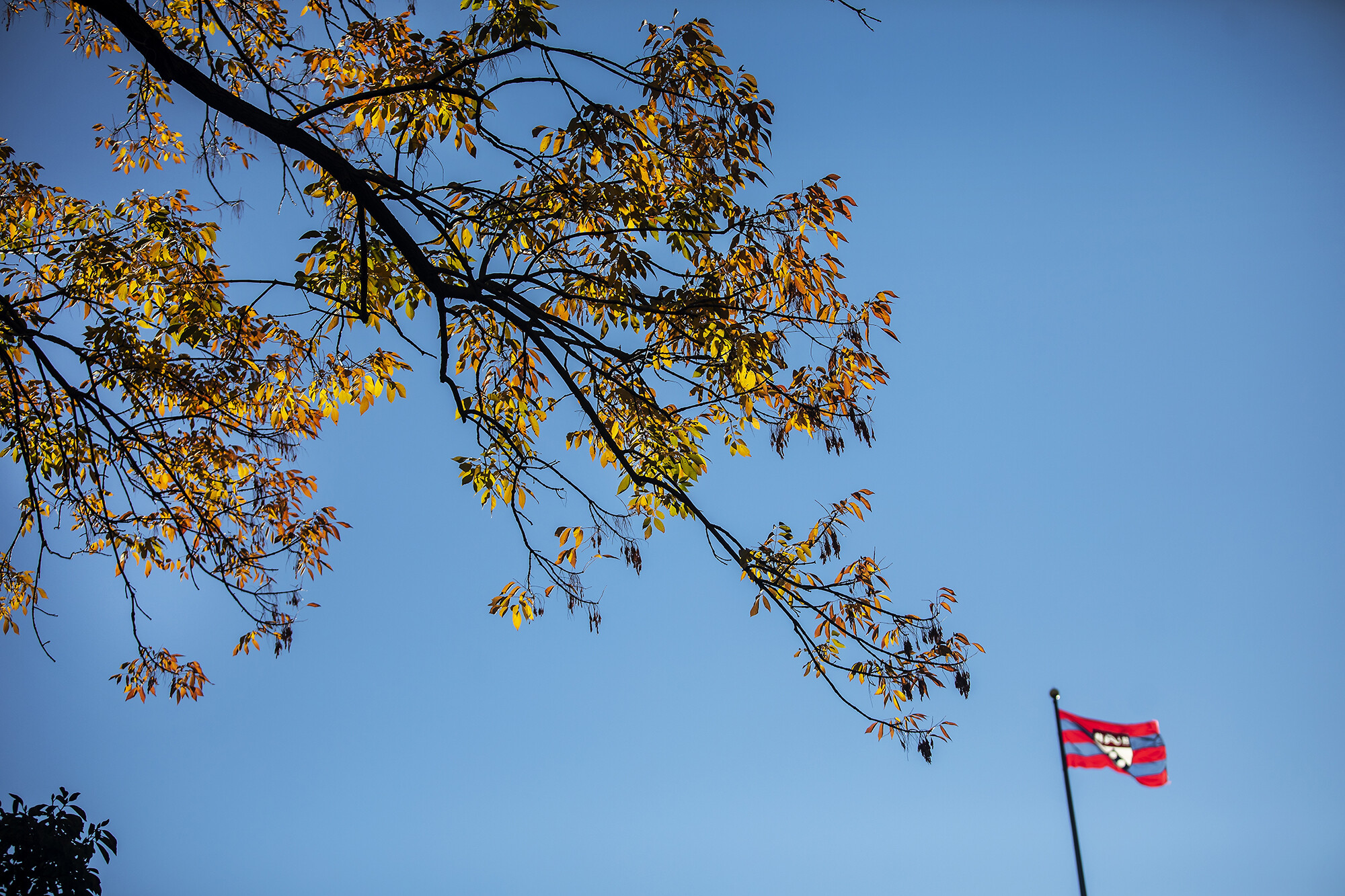 penn flag atop college hall