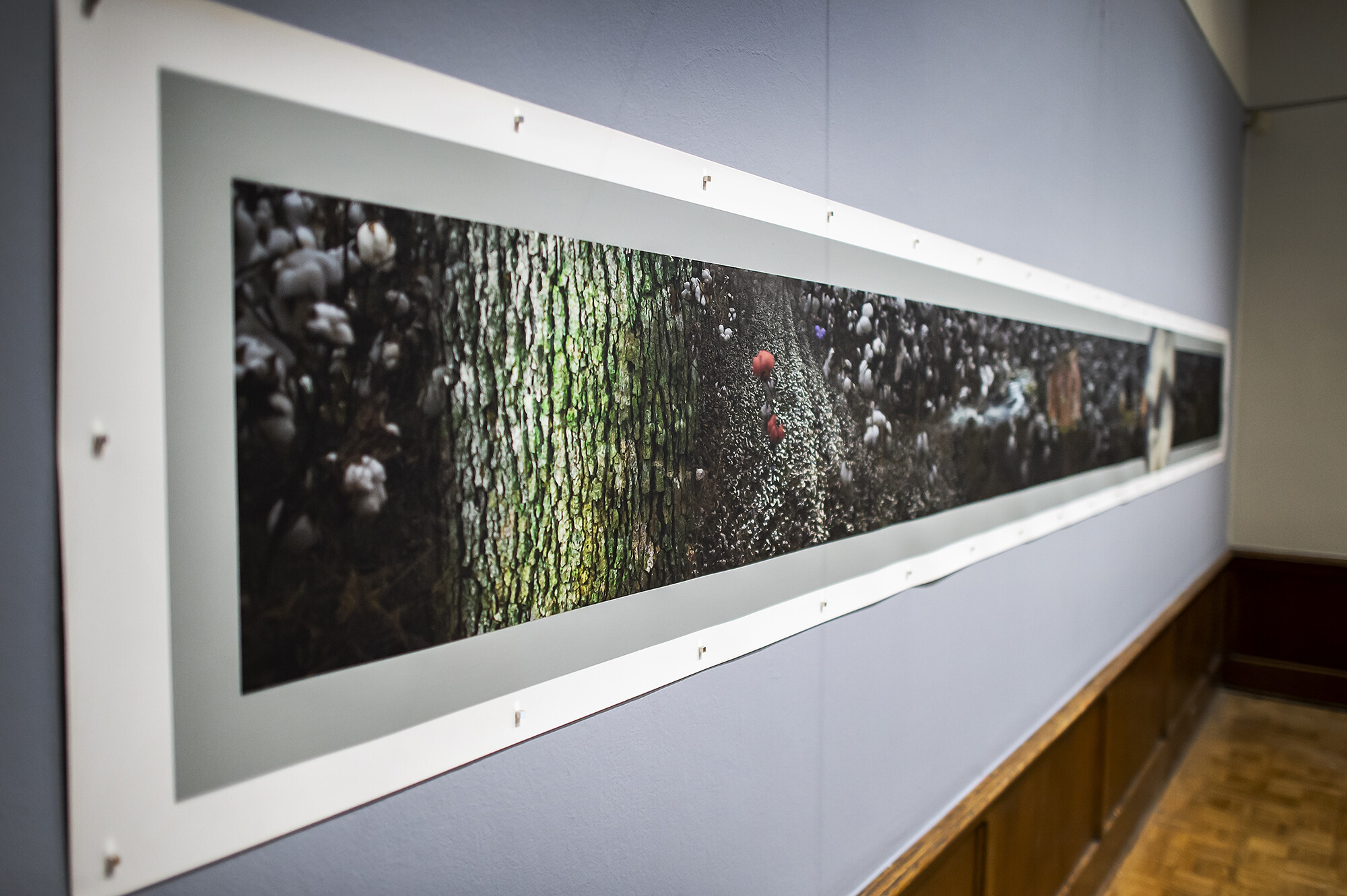 artwork showing cotton, tree with moss, river, safehouse