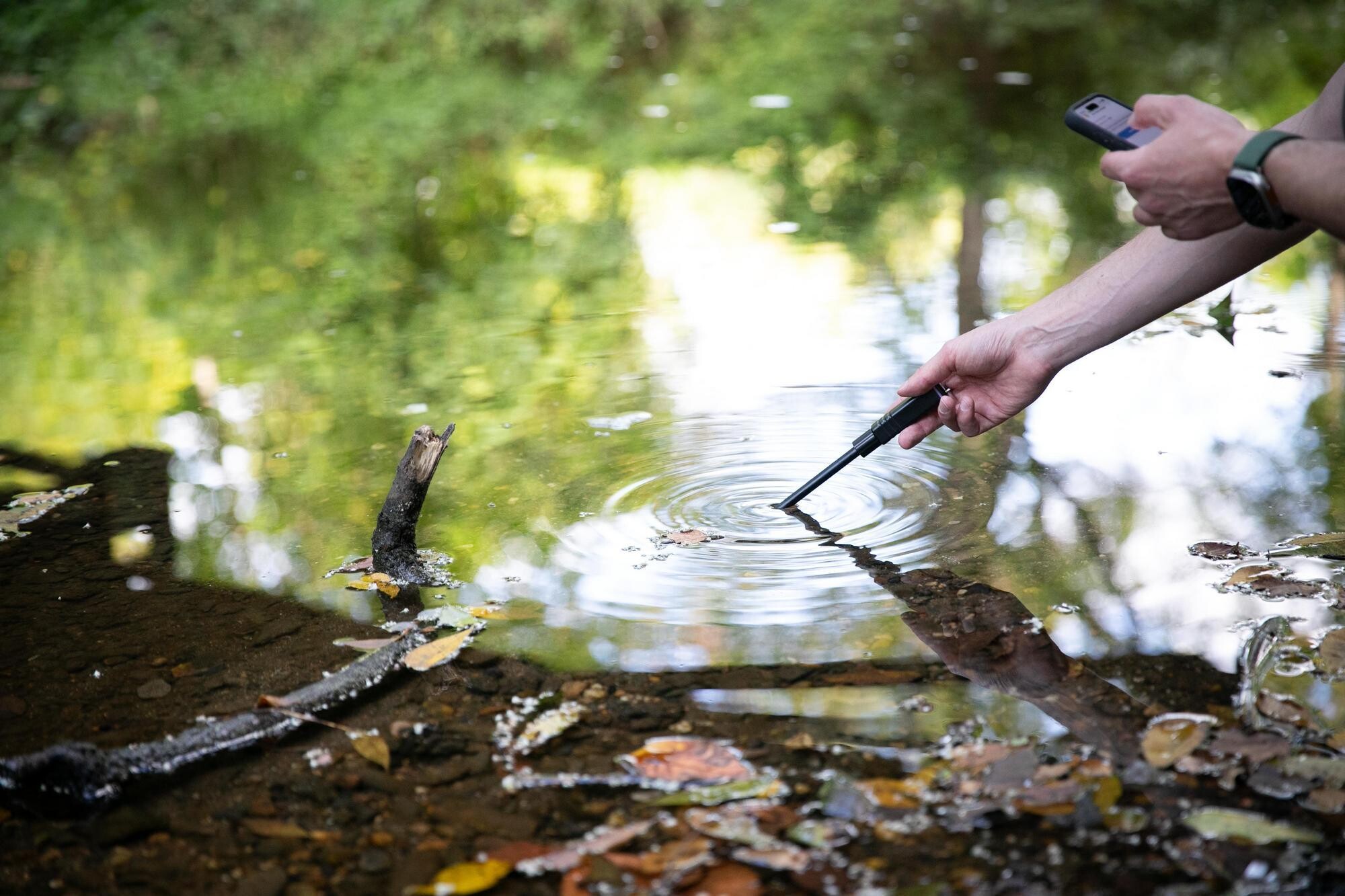 A person putting a measuring device in the water at Cobbs Creek.