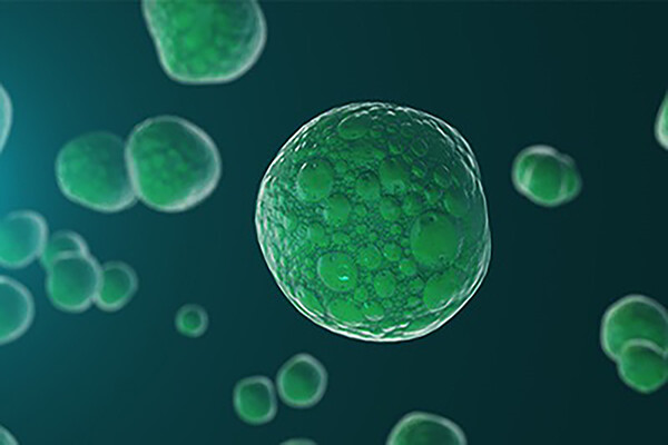 closeup of cell protein