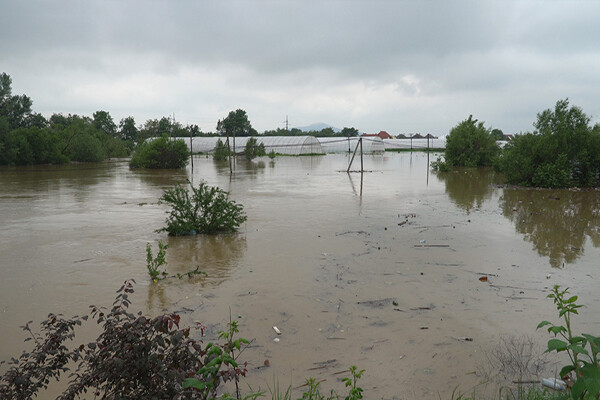 Spring field flooded by high water of a small river.