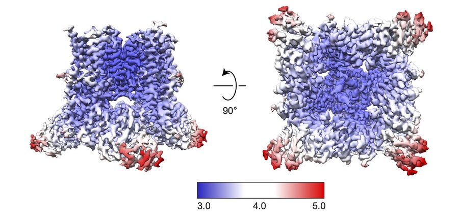 microscopic protein channel structures