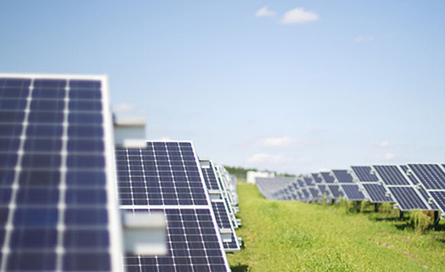 Field of solar panels on the ground.