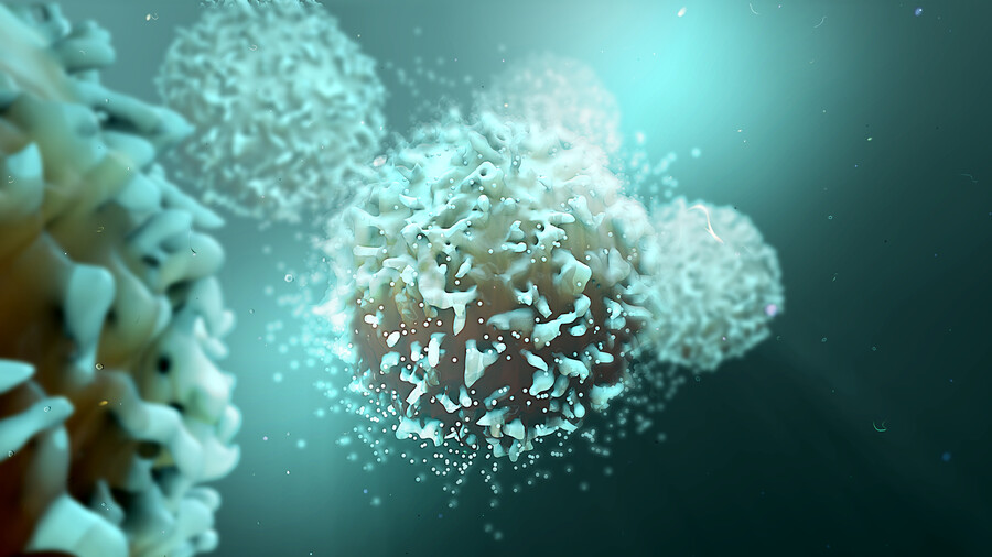 3D illustration of a T cell