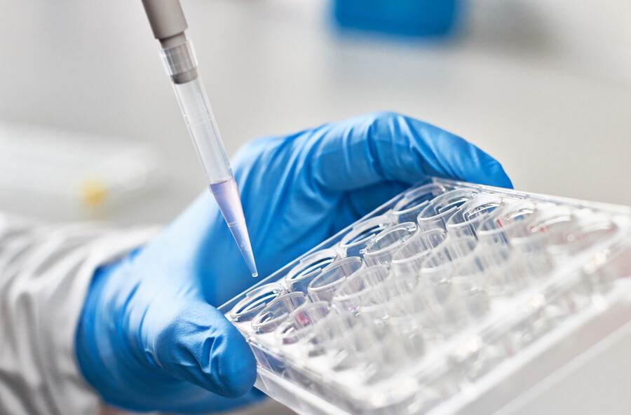 Closeup of a pipette and a tray of vials held by a gloved hand.