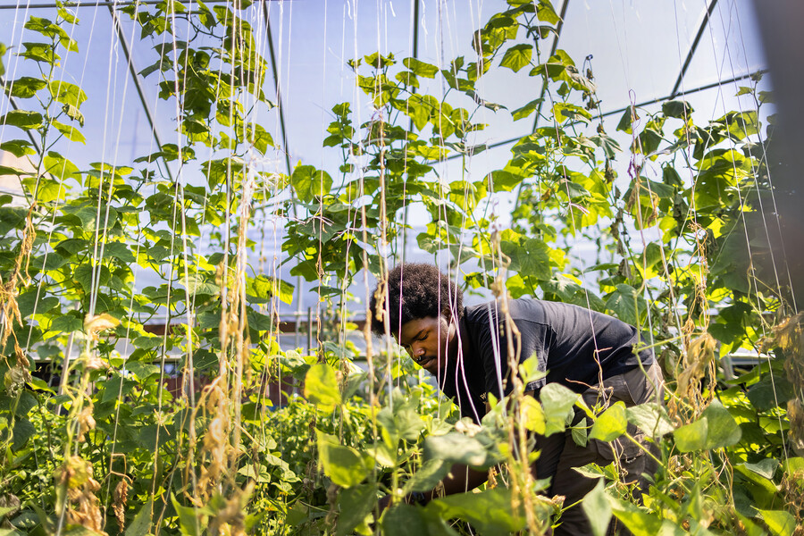 Xavier Watkins-Wright.