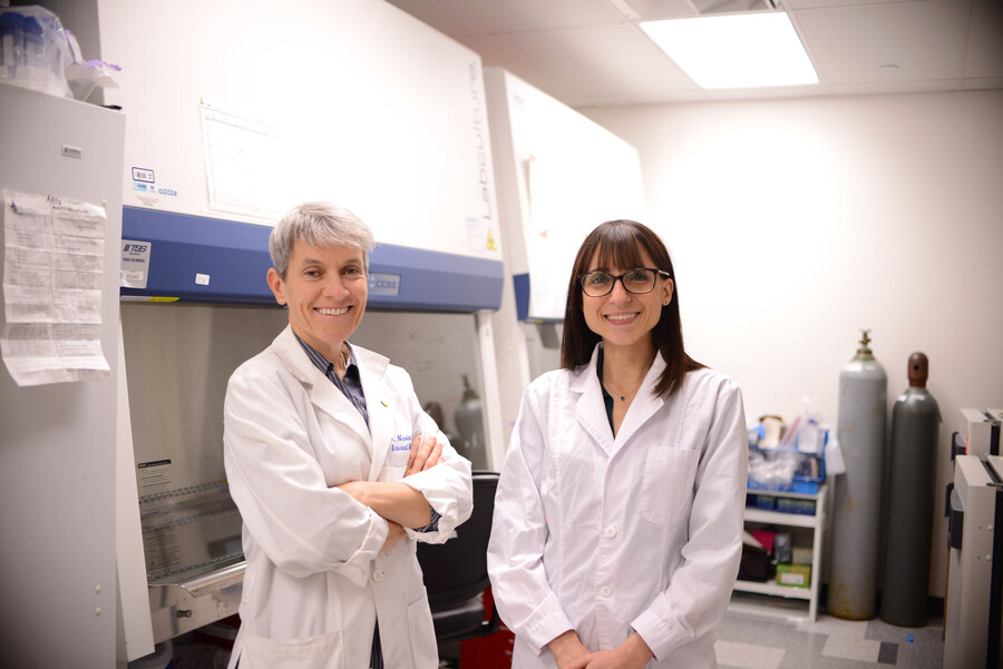 Nicola Mason and Antonia Rotolo.