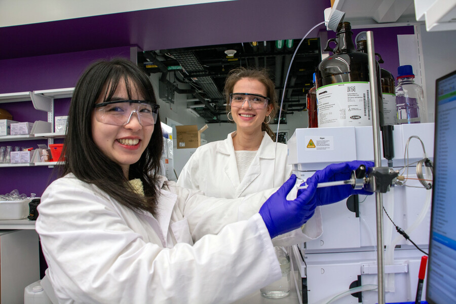 Qiuyue Nie and Maria Zotova, from left, purify samples of the fungus in a lab.