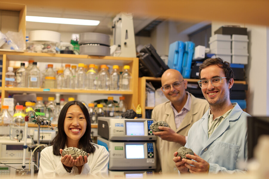 Hannah Yamagata, Research Assistant Professor Kushol Gupta and postdoctoral fellow Marshall Padilla, holding 3D-printed models of nanoparticles in a lab.