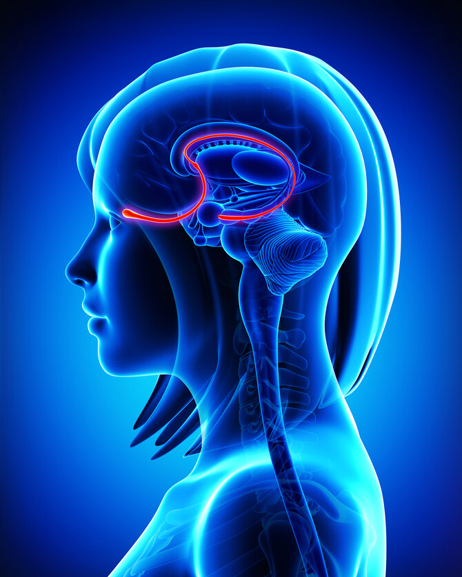 BrainImage