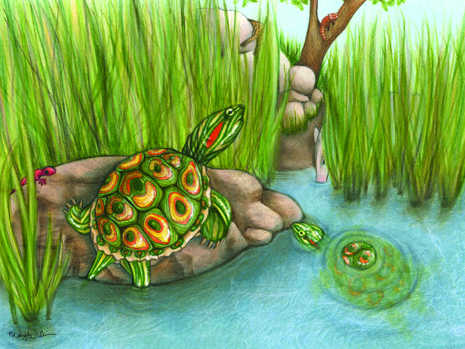 Jasinski Trachemys