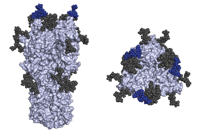 hemagglutinin hemagglutinin