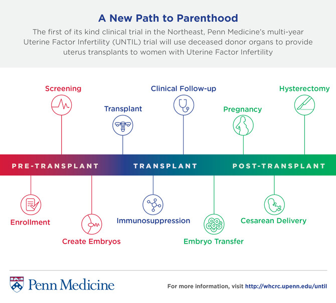 Uterine Transplant Uterine Transplant