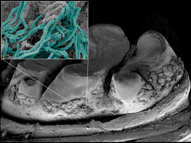 image1 image1