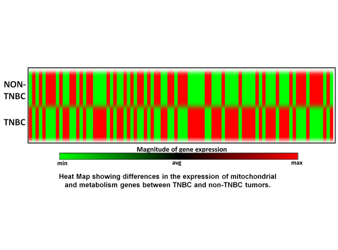 Triple-negative breast cancer heat map